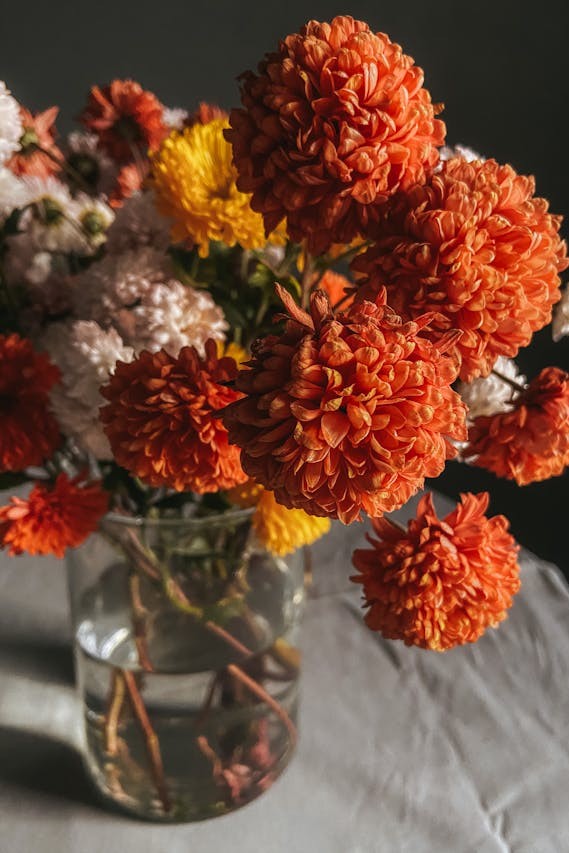 bronze-chrysanthemum